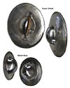 Shields